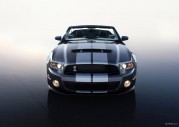 Shelby GT500